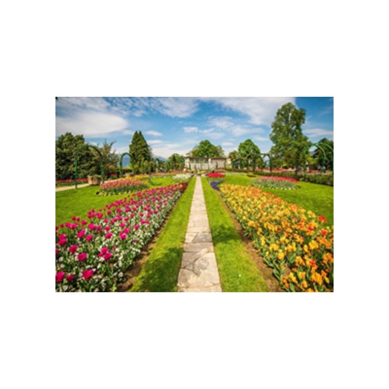 PARCO PALLADINO - Classi Seconde Primaria