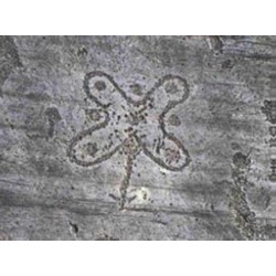 PARCO ARCHEOCAMUNI - Classi Terze Primaria