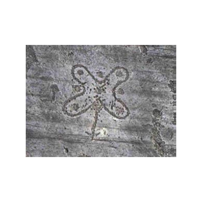 PARCO ARCHEOCAMUNI - Classi Terze Primaria