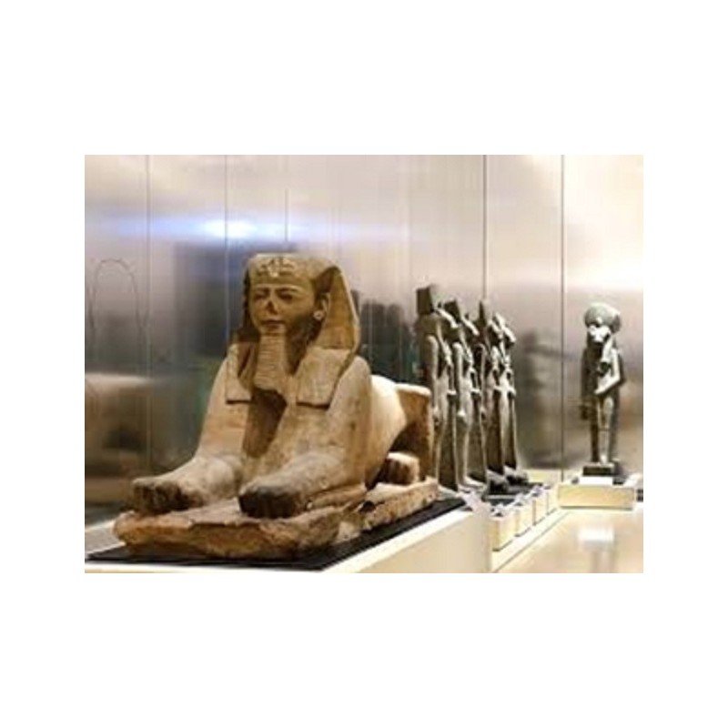 MUSEO EGIZIO - Classi Quarte Primaria