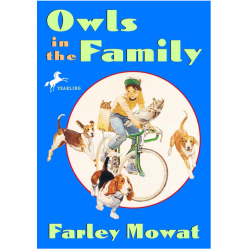 OWLS IN THE FAMILY