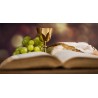 Celebrazione Eucaristica di ringraziamento