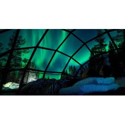 LAPPONIA FINLANDESE - VIAGGIO PER ADULTI