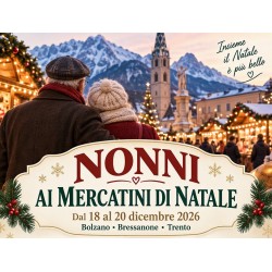 Nonni/adulti ai mercatini di Natale (Camera doppia)