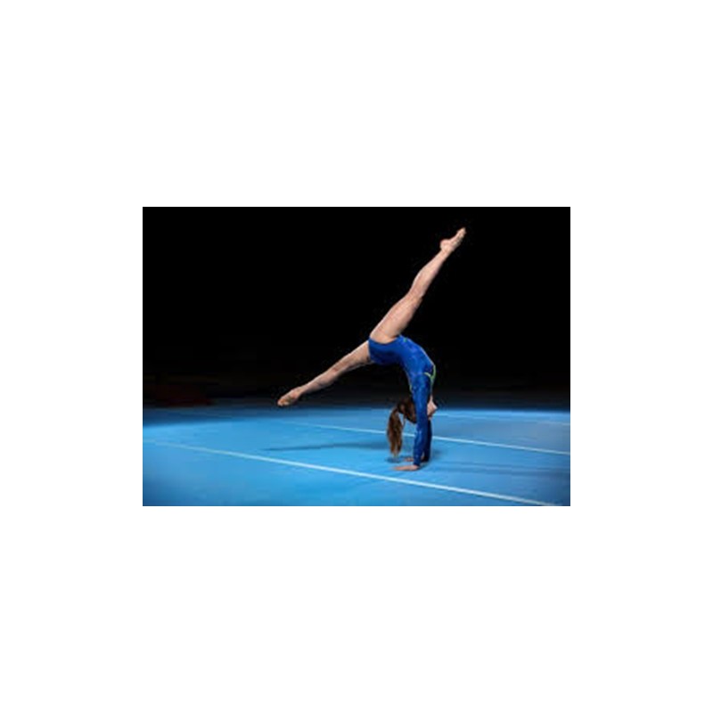 CSR - GINNASTICA ARTISTICA (ACCONTO)