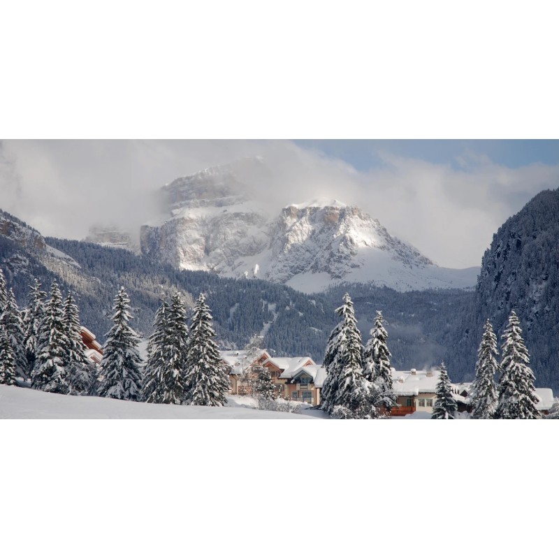 CAMERA TRIPLA (Letti singoli) - Neve...dremo delle belle!