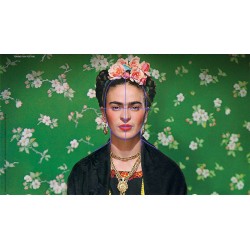 CLASSI III SECONDARIA I GRADO FRIDA
