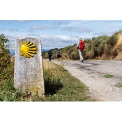 CAMMINO DI SANTIAGO (ACCONTO)