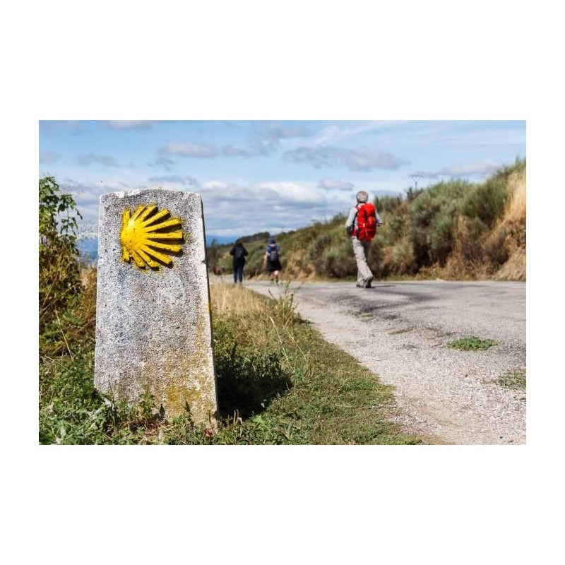 CAMMINO DI SANTIAGO (ACCONTO)