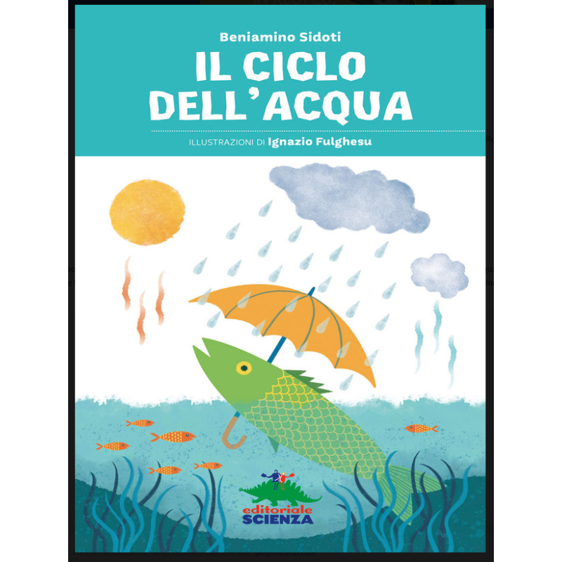 IL CICLO DELL'ACQUA
