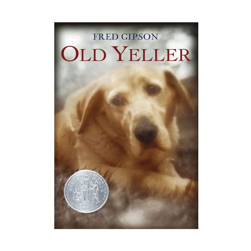 OLD YELLER ( 1 Veicolare)